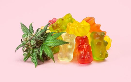 Things to know if you are planning to buy Delta 8 Thc edibles