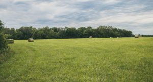 Investment Opportunities Galore: Invest in Land for Sale in Upstate NY